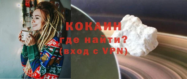 крисы Инта