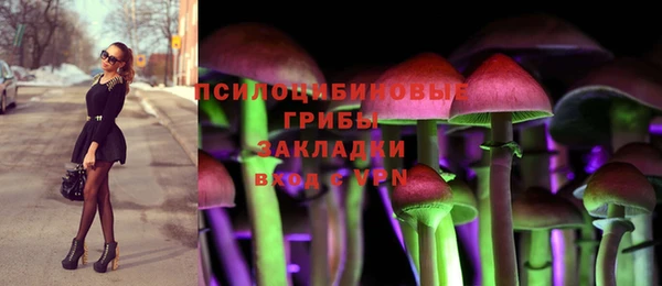 бутират Касимов