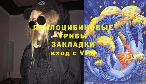 PSILOCYBIN Каменск-Шахтинский